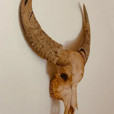 לינה וארוחת בוקר Elements 4*