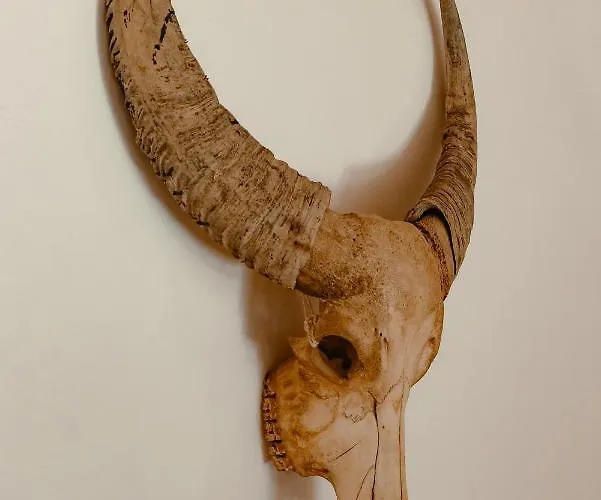 Couette-café Elements 4*